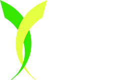 National Teaching School